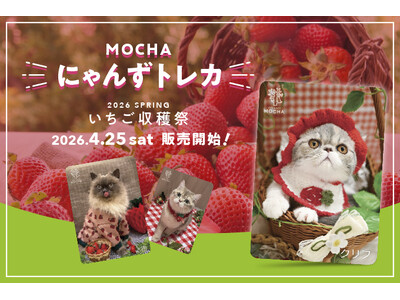 累計11万セット突破！猫カフェMOCHA「にゃんずトレカ」新作は”いちご収穫祭”。4月25日より全36店舗で販売開始