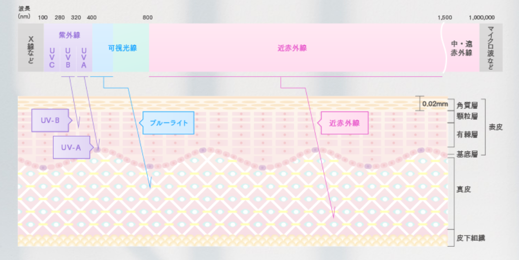 ステイホームで売上増*。デジタル時代の加速で注目される、ブルーライトもブロックする「サンスクリーン」