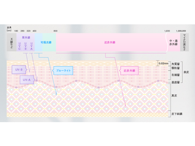 ステイホームで売上増*。デジタル時代の加速で注目される、ブルーライトもブロックする「サンスクリーン」