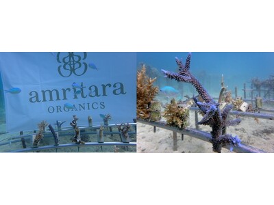 3月5日「サンゴの日」。世界で広がる日焼け止め規制とサンゴ再生を支援する、環境配慮型サンスクリーン