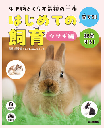 家庭や学校で飼育される代表的な生き物の特ちょう、迎え方、健康管理の方法などを解説！　文研出版より『生き物とくらす最初の一歩はじめての飼育　第１期　ウサギ編』を発売！