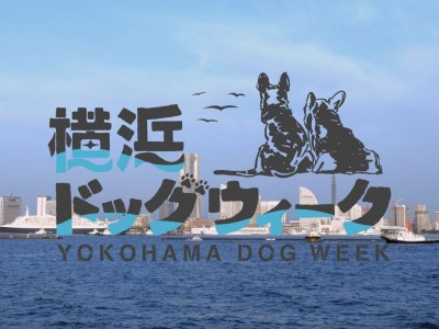 「犬にやさしい街」横浜宣言！