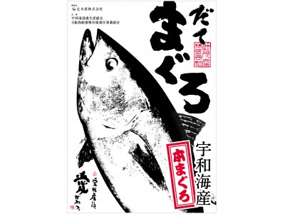 国産養殖本まぐろ『だてまぐろ』ＮＨＫ特番放送ご案内とまぐろのご紹介