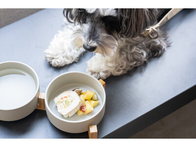 全室で愛犬と泊まれるホテル『hotel anddoggy京都二条』が京都街中にオープン