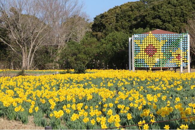 黄色いフォトスポット登場（海の中道海浜公園）