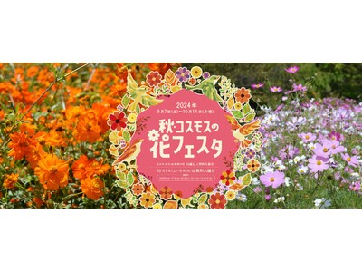 「秋・コスモスの花フェスタ」開催中！【国営アルプスあづみの公園　堀金・穂高地区】