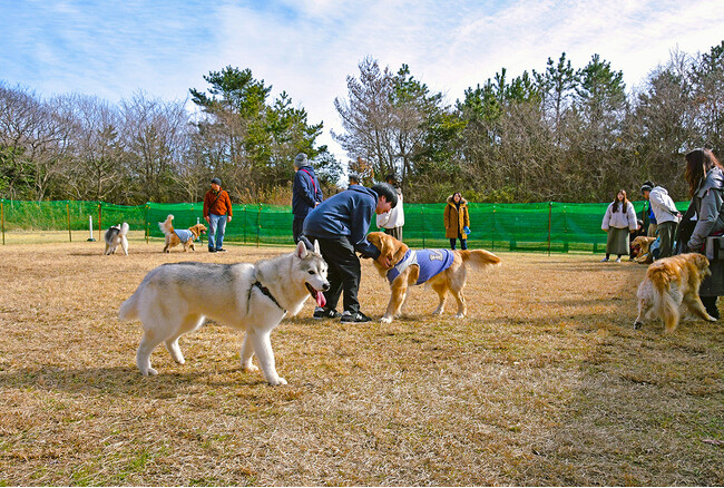 期間限定の特設ドッグランをオープンします（国営ひたち海浜公園）