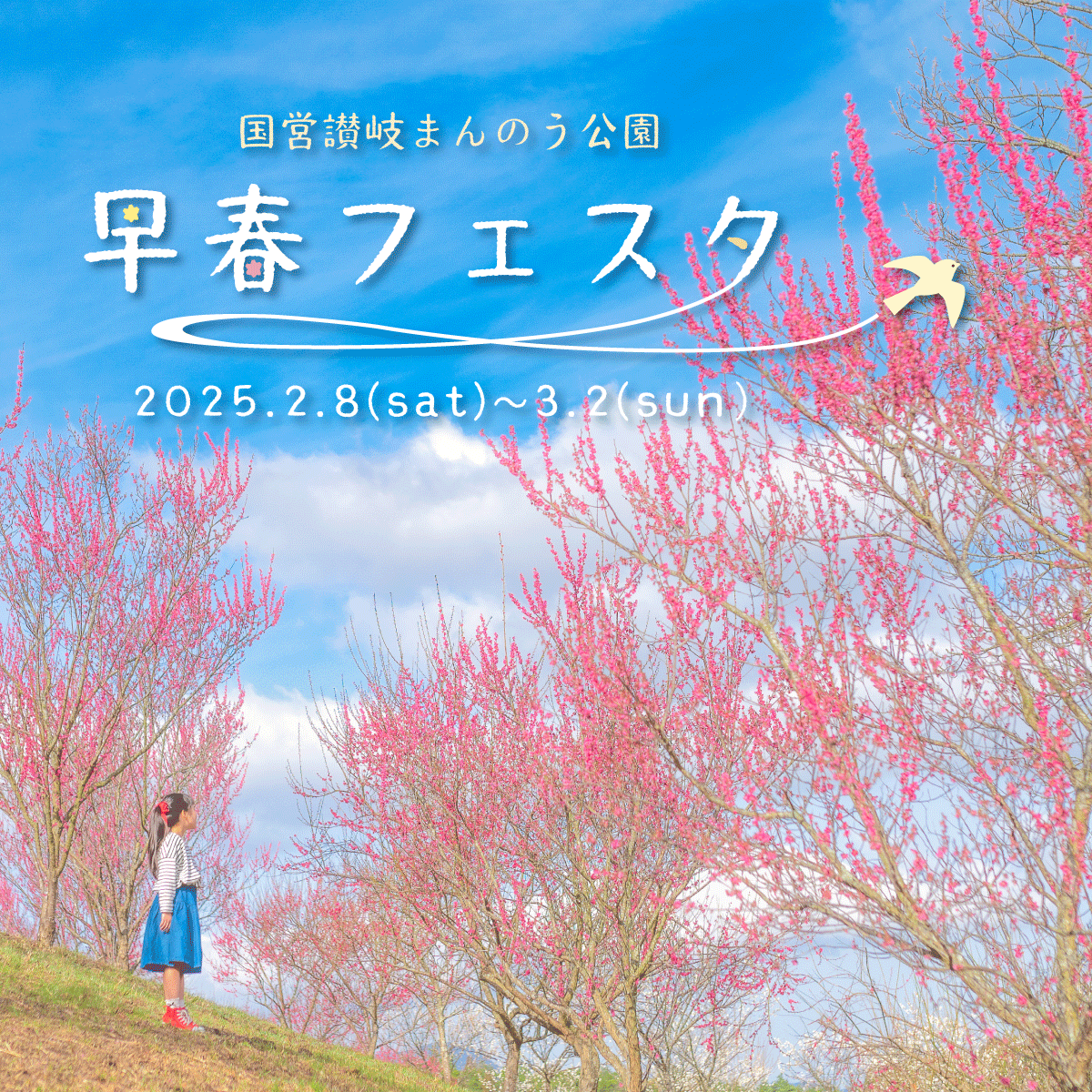 一足先に春を楽しもう！「早春フェスタ」を開催します（国営讃岐まんのう公園）
