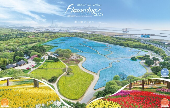 春のフラワーリレー「Flowering2025」を開催！（国営ひたち海浜公園）