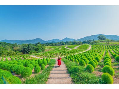 親子で楽しむまんのう公園の夏！「サマーフェスタ」を開催します（国営讃岐まんのう公園）