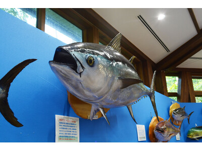 魚魚展開催中！【国営アルプスあづみの公園　堀金・穂高地区】
