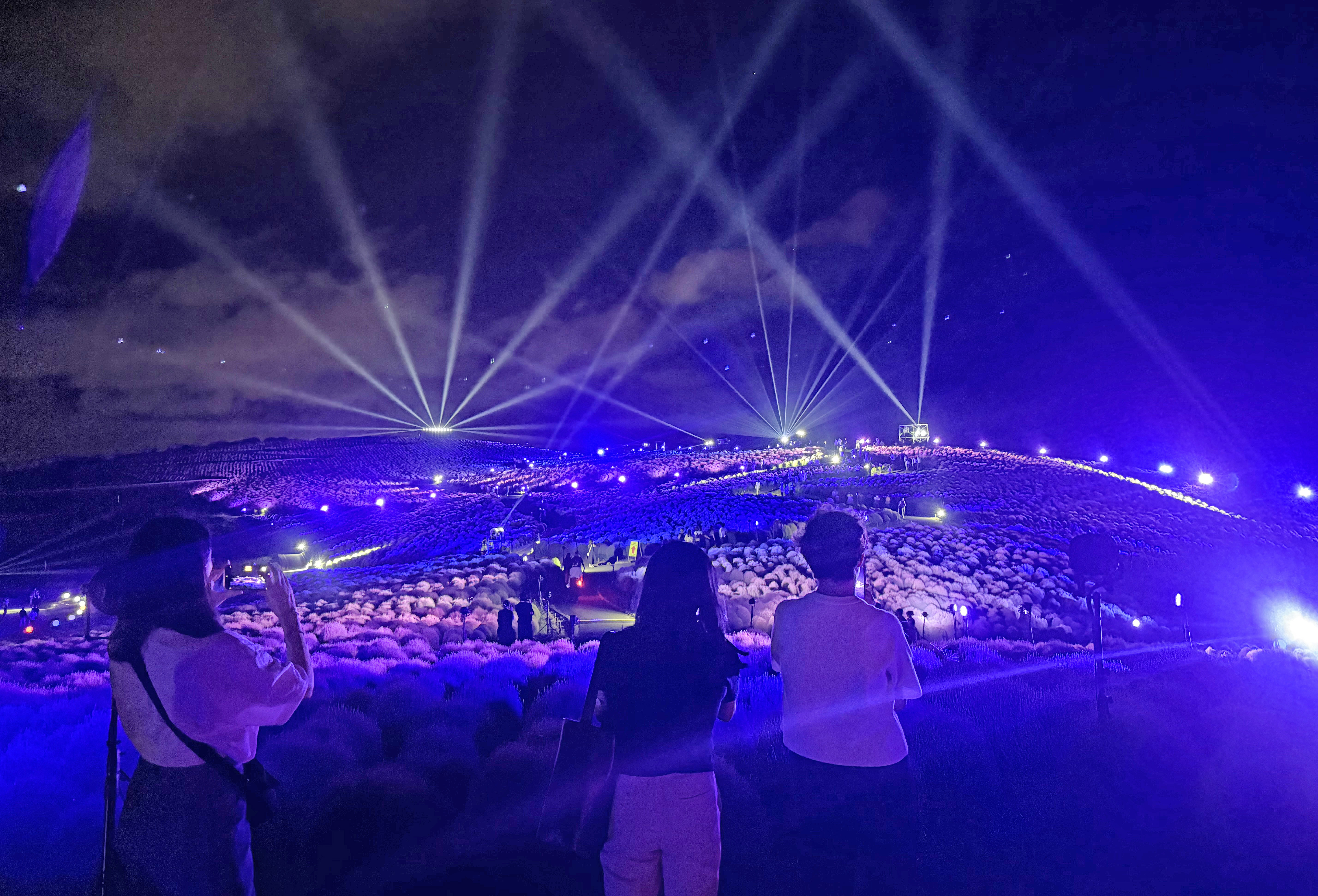 【期間限定】コキアライトアップ2025開催中（国営ひたち海浜公園）