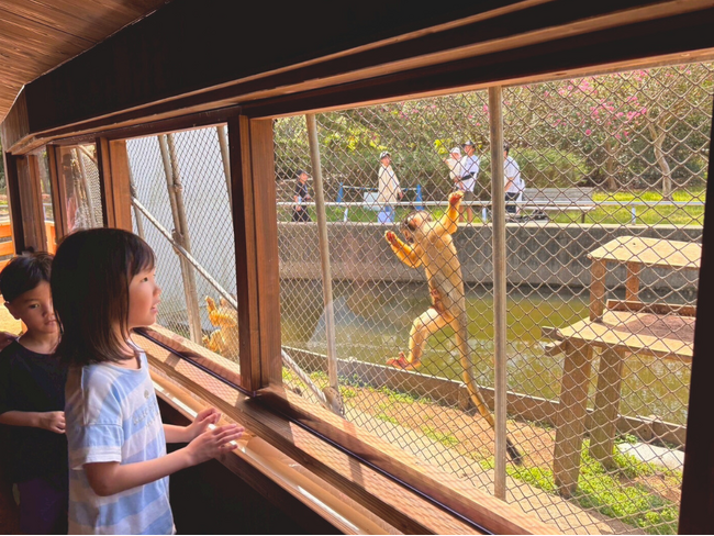 プレスリリース「リスザルビュースポット登場【国営海の中道海浜公園】」のイメージ画像