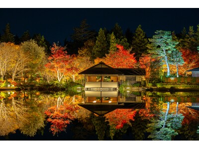 黄葉・紅葉まつり＆秋の夜散歩2025開催(国営昭和記念公園）