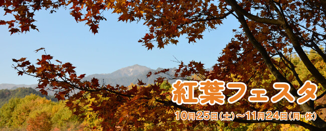 見て作って遊ぶ秋「紅葉フェスタ」開催｜国営アルプスあづみの公園【大町・松川地区】
