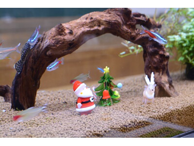 トロピカルクリスマス開催中！【国営アルプスあづみの公園　堀金・穂高地区】