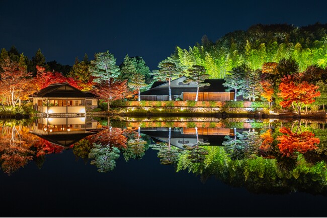 幻想的な夜の日本庭園が見頃【国営昭和記念公園】
