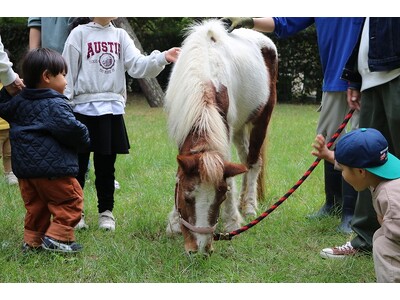 新春にポニーと記念撮影&昔懐かしいお正月遊び【国営海の中道海浜公園】