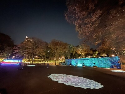 新宿中央公園イルミネーションイベント「TWINKLE PARK（トゥインクルパーク）」開催中！