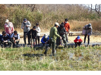 「ニホンアカガエルの卵をさがそう」を開催します（国営ひたち海浜公園）