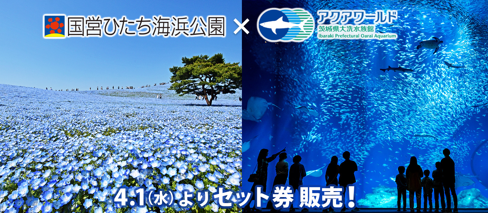 「国営ひたち海浜公園・アクアワールド茨城県大洗水族館」前売り入園セット券を販売…