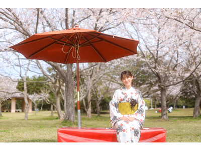 サクラ開花【国営海の中道海浜公園】