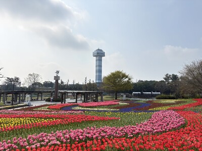 �`���[���b�v�����i���c�ؑ]�O������@�ؑ]�O������Z���^�[�j