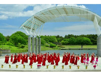 「ひたちなか・大洗・東海PRの日」「ひたちなかフラフェスティバル」を開催します（国営ひたち海浜公園）