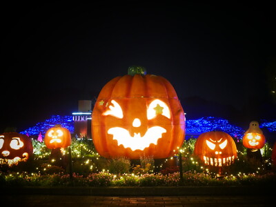 約55万球のイルミネーション「森のハロウィンナイト」開催（国営武蔵丘陵森林公園）