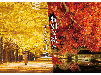 黄葉・紅葉まつり＆秋の夜散歩2026開催｜国営昭和記念公園