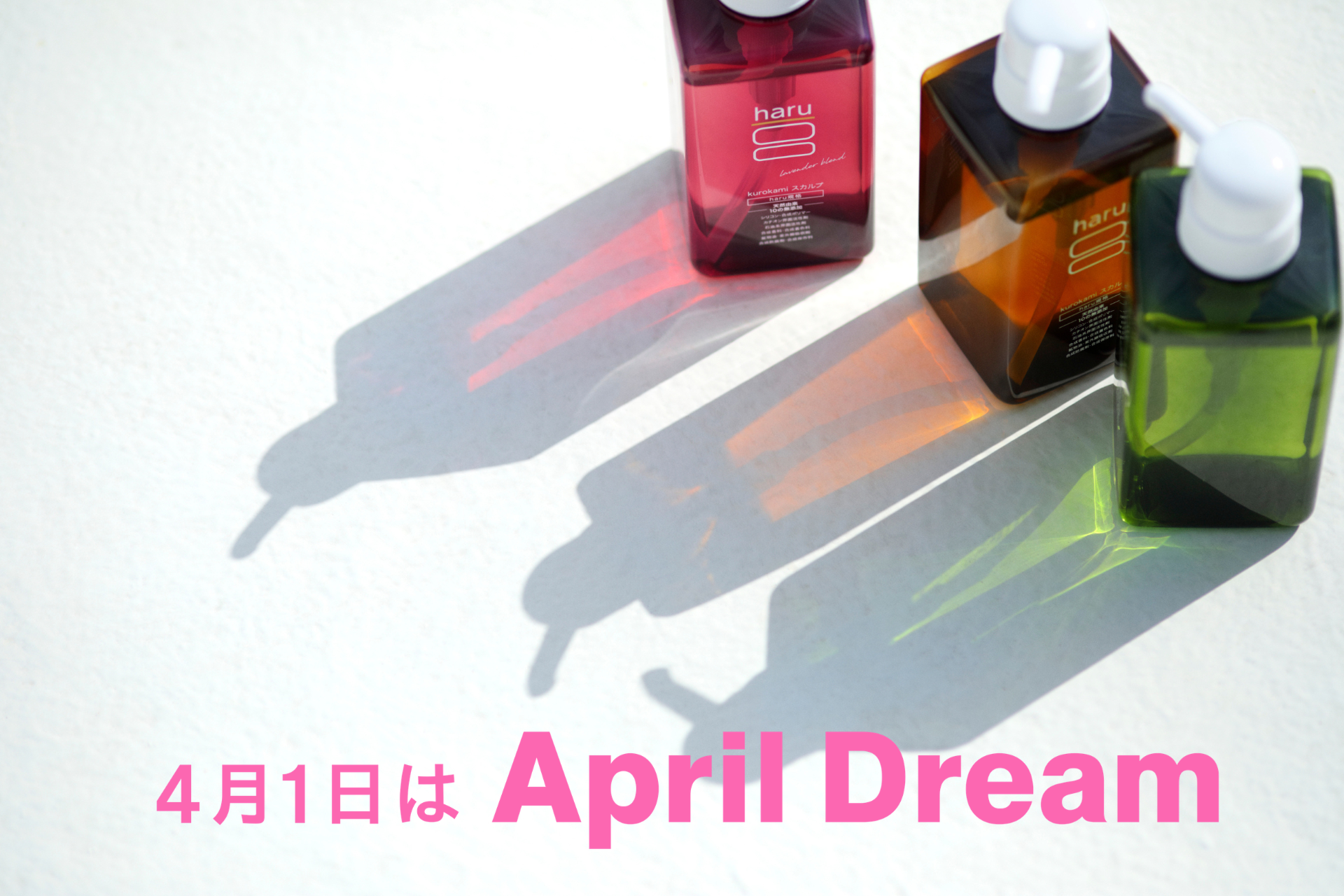 【nijito】自分らしく年齢を重ねることが、あたりまえになる社会へ。髪や地肌からはじまるプロエイジングという選択 #AprilDream