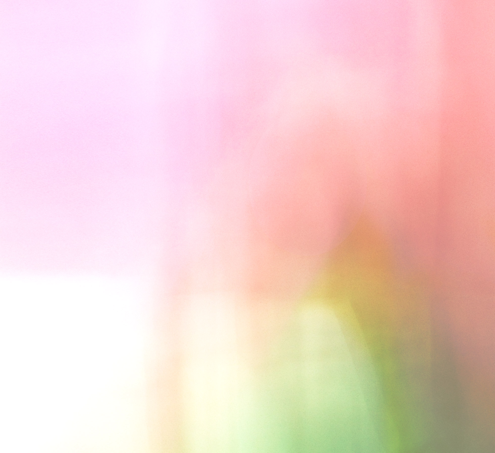 【SHIRO】LIMITED FRAGRANCE さくら219