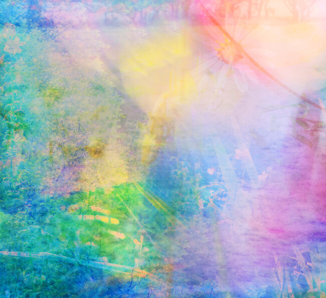 【SHIRO】LIMITED PERFUME LAYERS OF BLOOM
