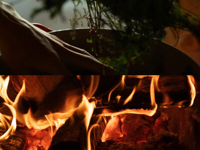 【SHIRO】レストランを開き、森の恵みと香りを味わう、イノベーティブレストラン『MORISHIRO』が2025年11月21日（金）にオープン。