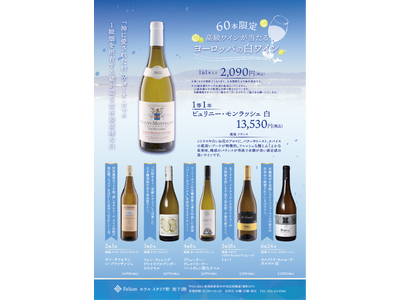 【洗練の欧×情熱の越！この夏、旅する味わいの一杯!!】ヨーロッパの白ワインお楽しみ袋＆胎内高原ビール“吟籠”