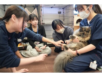 �y�o���Z�R���{���Ɓz�u�����~���ǂ��v�Łu���v�ɂ��čl����