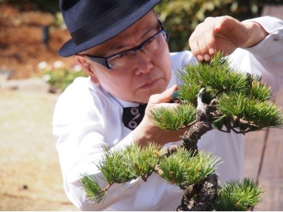 石原 和幸 風景盆栽展～BONSAI EXHIBITION～箱根強羅公園にて開催9月15日（土）～10月8日（月・祝）