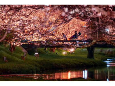 【界 玉造】温泉街に咲く400本の桜を楽しむ「桜舞うたまゆら滞在」開催