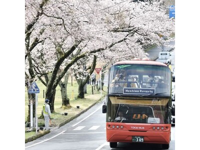 【界 アンジン】【界 伊東】伊豆の桜の名所を大パノラマで駆け巡る「桜オープンバスツアー」、桜バスガイドが同乗して今年も運行