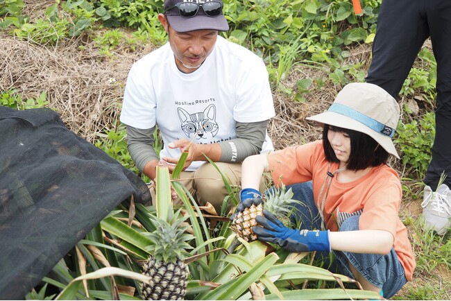 【西表島ホテル】地元ガイドと巡る、魅力再発見の旅「西表島ピーチパインの学校」開催