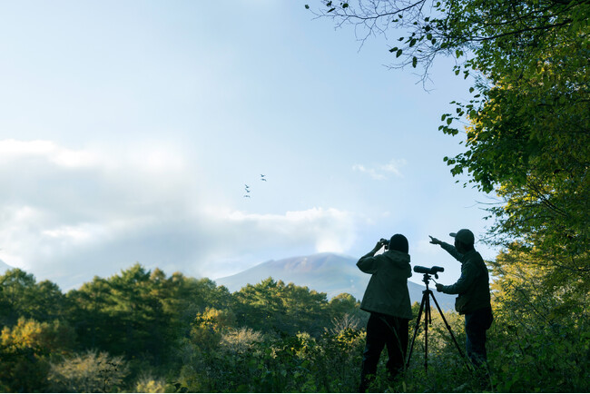 【星のや軽井沢】日本屈指の探鳥地、国設「軽井沢野鳥の森」を専門家と巡る「軽井沢バードウォッチングステイ」開催