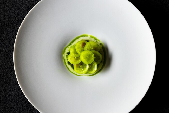 【ブレストンコート　ユカワタン】森と水の恵みを味わう秋の軽井沢。鯉、山女魚、茸など食感と香りのハーモニーを楽しむ秋限定のコース提供開始