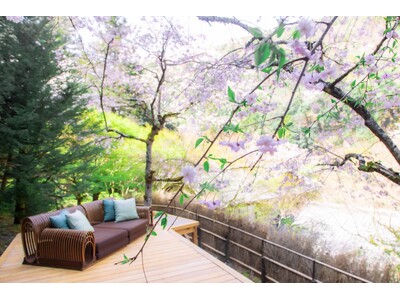 【星のや京都】平安貴族が興じた奥嵐山で叶う贅沢。三つの桜の「特等席」を独り占めする、一日一組限定の滞在プログラム「奥嵐山の花見滞在」提供開始