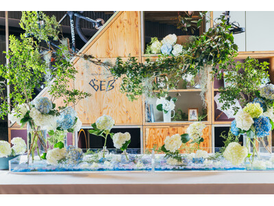 【BEB5土浦】雨の日でも24時間“お花見”気分。「いばらきフラワーパーク」監修の色鮮やかな空間で紫陽花...