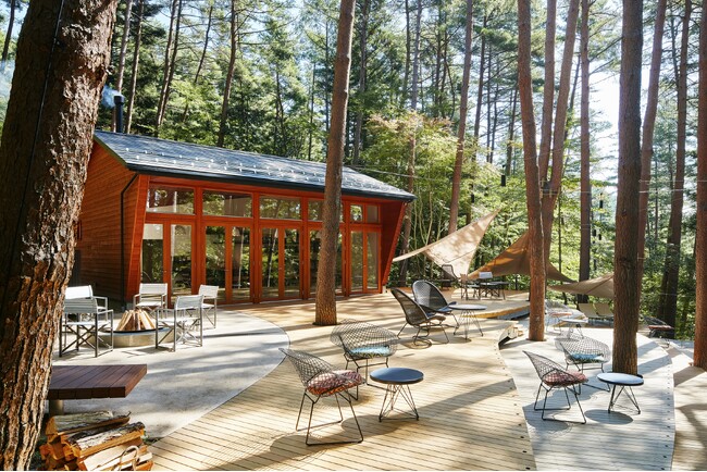 【星のや富士】森が輝く季節。夏に向け緑が潤い、鮮やかになる「初夏の森グランピング滞在」を提供開始