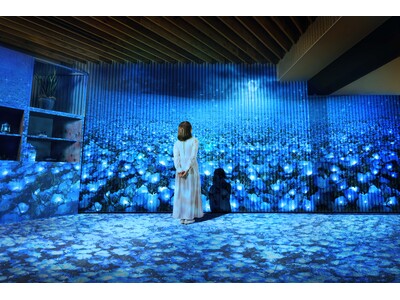 【BEB5土浦×国営ひたち海浜公園】茨城の青い絶景「ネモフィラ」をホテル内でも楽しめる「ネモフィラブルーミング」開催