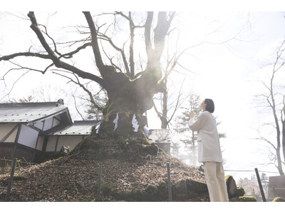 【星のや軽井沢】ビジネスや人生の節目に！樹齢1000年以上のご神木を参拝し、人生の勝負運を上げる「軽井沢 開運滞在」初開催