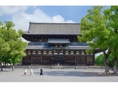 【OMO京都3施設】混雑知らずな静寂の寺社詣り。夏の京都で涼を求める「早朝の暑気払いツアー」を開催