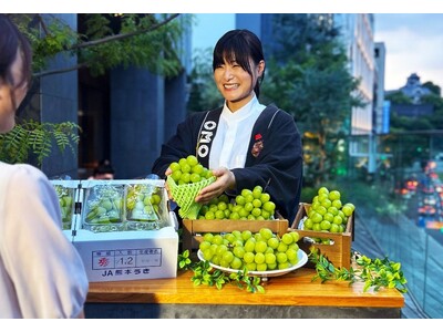 【OMO5熊本】熊本市と連携し、被災した物産館の宇城市産シャインマスカットの販売と宿泊者への提供を開始