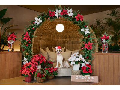 【OMO】冬も愛犬と快適にホテル滞在を楽しむ！クリスマスフォトスポットやクリスマススイーツ、寒さを気にせず過ごせるサービスが充実の「冬の愛犬都市旅宣言」がスタート
